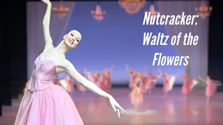 Nutcracker: Waltz of the Flowers, Balletschule Theater Basel, 4K video