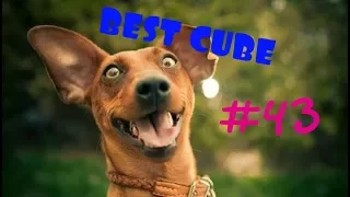 Свежая подборка BEST CUBE #43