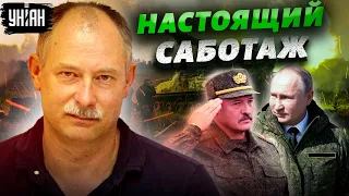 Странные учения в Беларуси и приостановка наступления: ситуация на фронте от Жданова