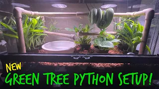 How I Built my Green Tree Python Cage