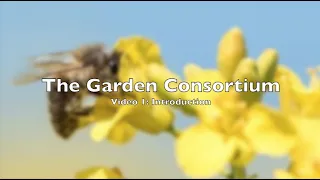 The Garden Consortium: Video Blog 1 Introduction