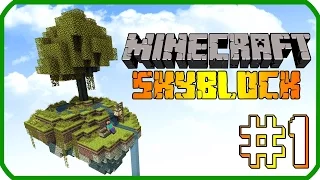 Minecraft Skyblock #1 Ada Tanıtımı