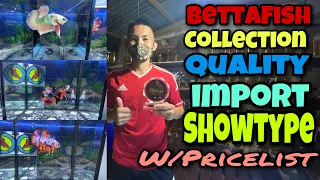 BETTA FISH COLLECTION! IMPORT |SHOWTYPE and QUALITY with Pricelist !!😱😱😱