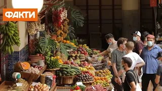 Чим цікавий острів Мадейра та скільки коштують там квартири