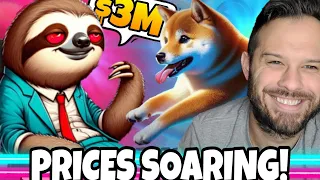 Slothana Soars On Crazy Burns And Dogeverse Is About To Be SOLD OUT!