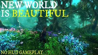 New World is BEAUTIFUL | No HUD 2021 Beta Gameplay