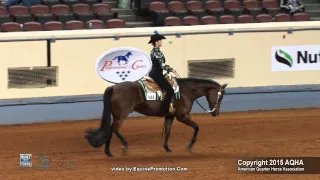 A Judge's Perspective: 2015 AQHYA Horsemanship World Champion