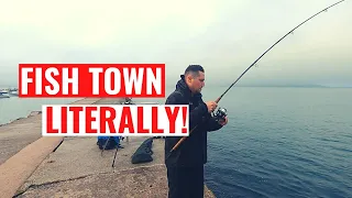 Awesome Sea Fishing from the Shore at Brixham in Torbay, South Devon.