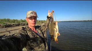 Рыбалка на сазана на Волге в Астраханской области. Вкуснейшая Уха из сазана. Отдых на острове.