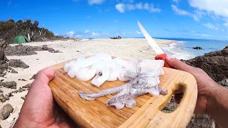 Calamari Straight From The Ocean, Squid Catch & Cook - Solo Camping An UNINHABITED ISLAND - Part 2