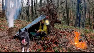 3 DAYS solo survival Camping in Heavy Rain - Bushcraft Camp with my Dog - Building Shelter - Cooking