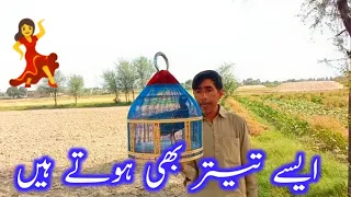 Aisy Bihtareen Teetar Bhi Hoty Hain | Siyal Aijaz Village Life