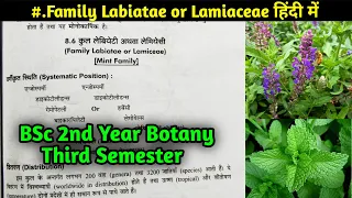 Family Lamiaceae in Hindi || Family Labiatae || BSc 2nd year Botany Third Semester