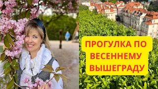 ВЕСЕННЯЯ ПРОГУЛКА ПО ПРАГЕ. КРЕПОСТЬ ВЫШЕГРАД