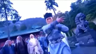 Heavenly Sword and Dragon Sabre 2009 Battle at Mount Wudang