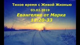 Тихое время с Живой Жизнью: от Марка 11:20‒33 (03022019)