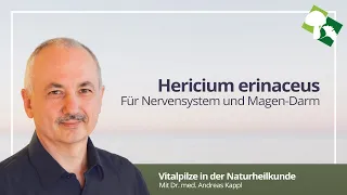 Hericium, Vitalpilz für Magen und Nerven | Dr. Kappl