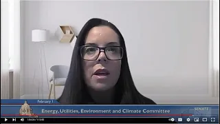 Committee on Energy, Utilities, Environment and Climate -  02/01/23