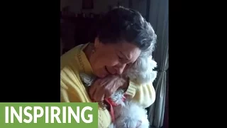 90-year-old grandma emotional after new puppy surprise