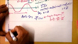 Simple Harmonic Motion Introduction | Doc Physics