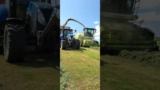 Silage 23' Class 880 jaguar lifting with N.H T6080 Carting EJ Ward 22/06/23