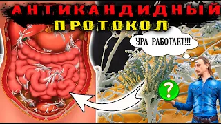 Антикандидный протокол | реальные отзывы избавления от грибков