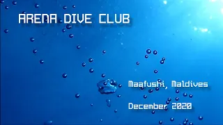 Scuba Diving in Maldives with Arena Dive Club Maldives Maafushi.