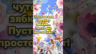 ☕Самого доброго утра!💗Благословенного дня!💗Красивая музыкальная открытка🌞🌼