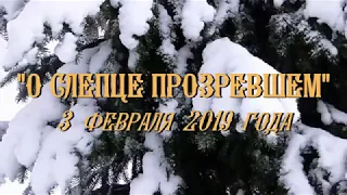 Слово Игумена "О СЛЕПЦЕ ПРОЗРЕВШЕМ" на Воскресной литургии 3 февраля 2019 года. Пронский монастырь.