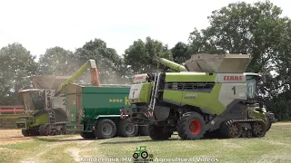 Claas - Fendt - Hawe / Getreideernte - Grain Harvest 2021