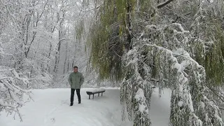 Te-am sunat aseară mamă - Poezie - Versuri și recital, Cristian Hartie