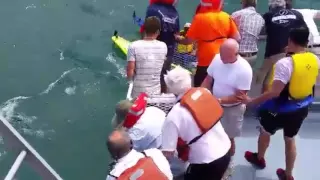 Kayakers are rescued from Lake Superior near Pictured Rocks