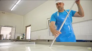 La feta, le fromage grec qui a conquis nos assiettes