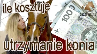 Ile kosztuje utrzymanie własnego konia