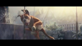 John Lewis Christmas Advert 2016 (Buster The Boxer)