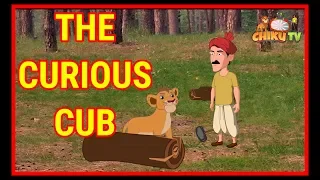 The Curious Cub | English Cartoon For Children | Panchatantra Moral Stories | Chiku TV English