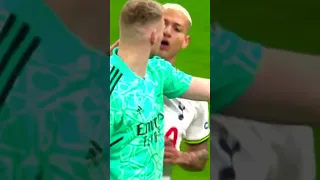 Tottenham fan kicks Arsenal keeper, a breakdown short