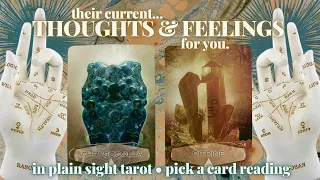 PICK A CARD: 💭THEIR CURRENT THOUGHTS & FEELINGS FOR YOU💞