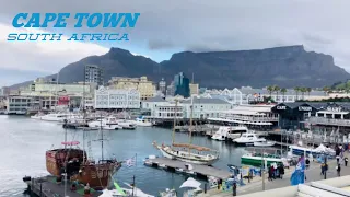Visiting Cape Town, South Africa - Table Mountain | Safari | Penguins