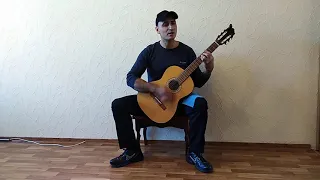 Извозчик.  Розенбаум. (cover)