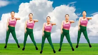 aerobics exercise, reduce body fat, lose weight, at home/lovely dance fit