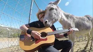 Happiest loving donkey in the world. Hazel !