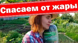 Как спасти растения от жары? Теневая сетка для разных растений