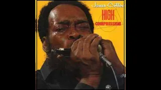 James Cotton  - No more Doggin'