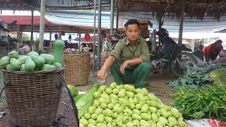 Rebuild a spacious pig pen, harvest gourds and chayote to sell at the market Ep 171