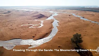 rivers forming in the desert !! | river in desert | Saudi