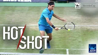 Hot Shot: Federer's Perfect Volley At Stuttgart 2018