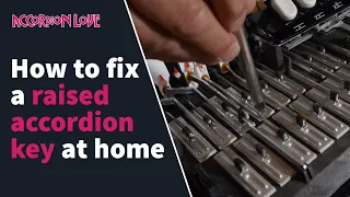 DIY Accordion Repair - How To Fix A Raised Key