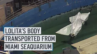 Protestors outraged as Lolita the orca's body is transported from Miami Seaquarium in a truck