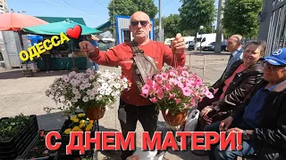 ОДЕССА ❤️ ЦЕНЫ на БАЗАРЕ❗️мясо ШОК ❗️ДЕНЬ МАТЕРИ❗️языки на которых говорят в Одессе ❗️